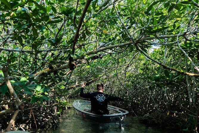 Guided Clear Kayak Eco-Tour Near Key West - A Detailed Breakdown of the Itinerary