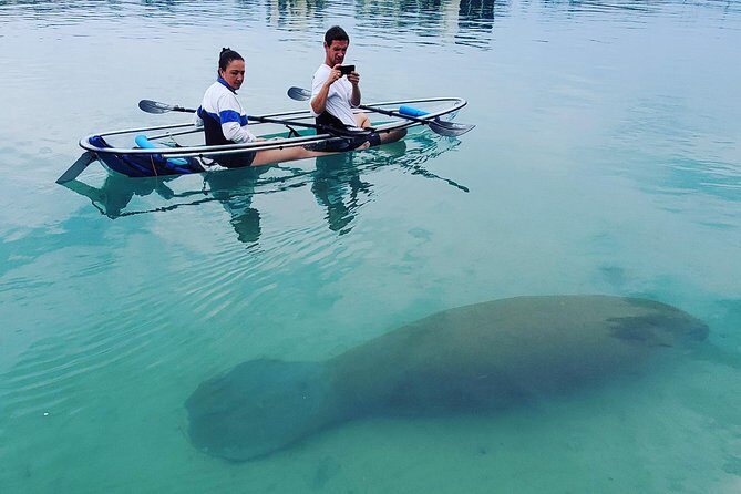 Guided Clear Kayak Eco-Tour of Jupiter - Why This Tour Is a Great Choice