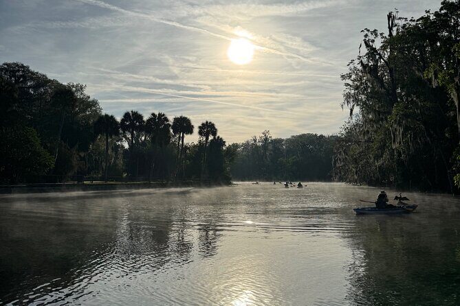 Guided Clear Kayak Tours on the Silver River - The Value of the Experience
