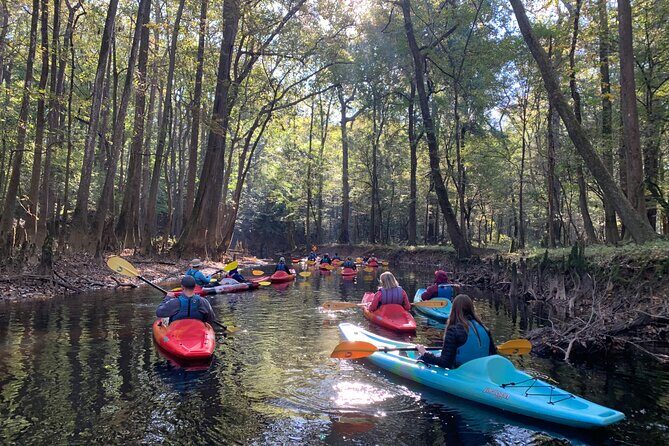 Guided Congaree National Park Kayak Tour - Who Should Consider This Tour?