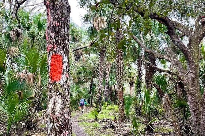 Guided Day Hike Through Florida's wild Backcountry. - The Value of the Tour