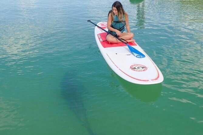 Guided Dolphin Eco Tour by Kayak & SUP - Fort Myers Beach, FL - Analyzing the Value and Practical Aspects