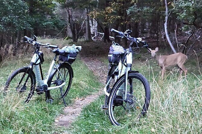 Guided Ebike Tour of Acadia National Park Carriage Roads - The Bikes and Equipment: Ease and Comfort