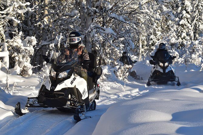 Guided Fairbanks Snowmobile Tour - Guides and Their Role