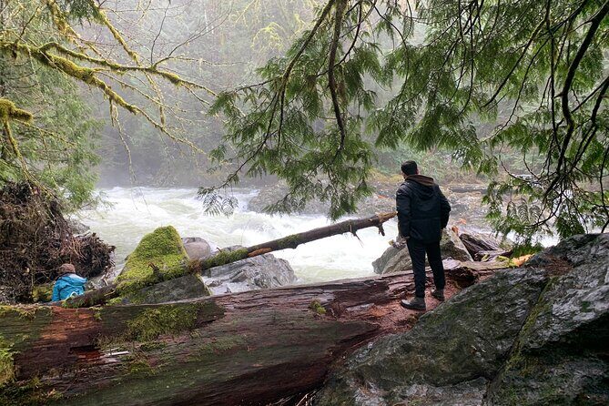 Guided forest hike to Seattle waterfalls incl. Snoqualmie Falls - Final Thoughts