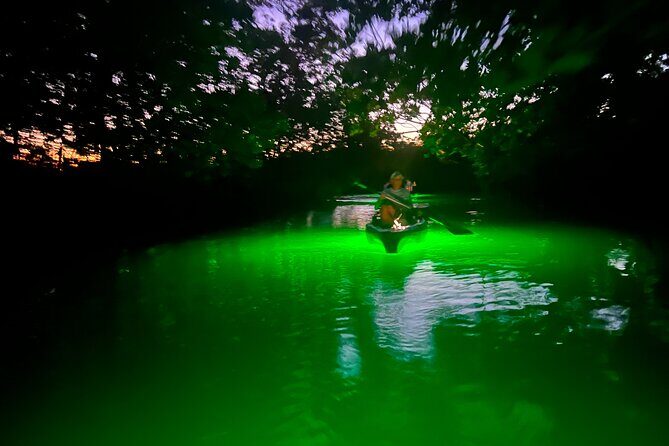 Guided Glow LED Kayak Sunset Activity in Bonita Springs - The Value and Overall Experience