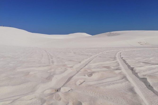 Guided hiking and environmental education: Atlantis Sand Dunes - The Sum Up: Is This Tour Right for You?