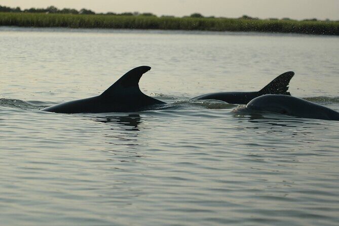 Guided Historical Bus and Boat Cruise Tour in Beaufort - The Practicalities: What to Expect