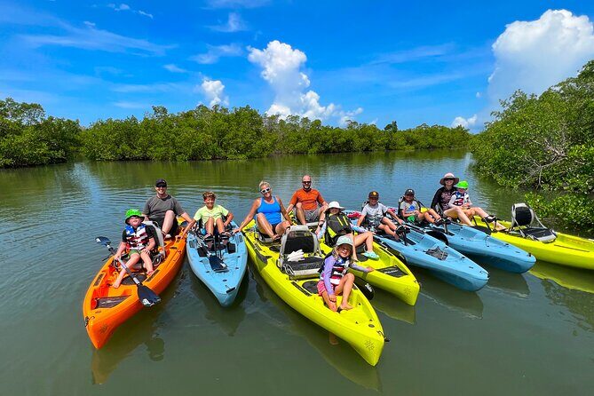 Guided Hobie Kayak EcoTour: Premium Eco Experience Bonita Springs - The Sum Up