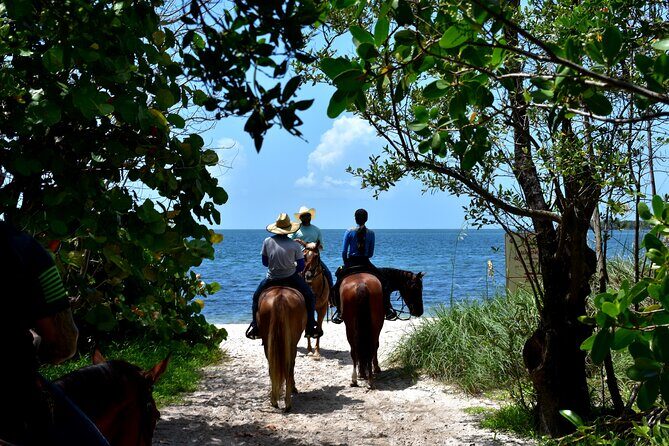 Guided Horseback Riding on The Pristine Waters of Miami Florida - The Sum Up