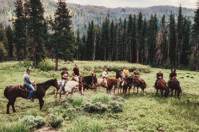 Guided Horseback Trail Rides - Exploring the Details of the Guided Horseback Ride
