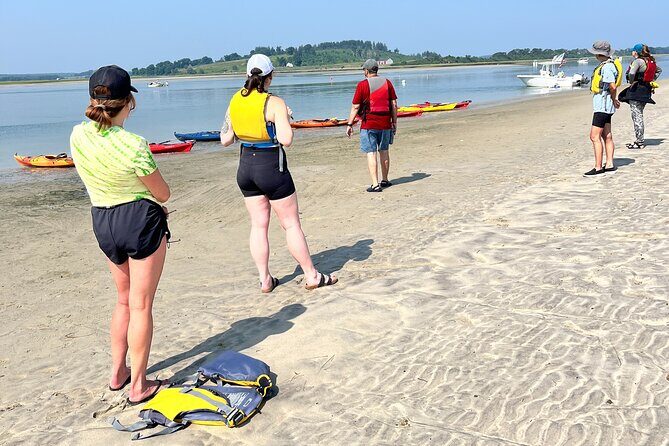 Guided Kayak at the Crane Estate - The Itinerary in Detail
