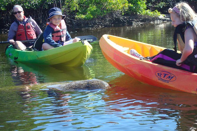 Guided Kayak Eco Tour - Bunche Beach - Who Should Consider This Tour