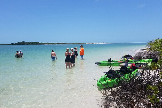 Guided Kayak EcoTour of Beautiful Shell Key Preserve - Detailed Breakdown of the Itinerary