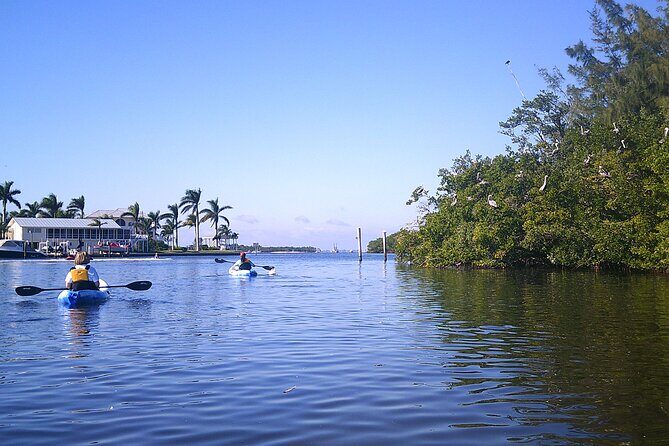Guided Kayak Sunset Tour in Pelican Bay at Fort Myers Beach - An In-Depth Look at the Experience