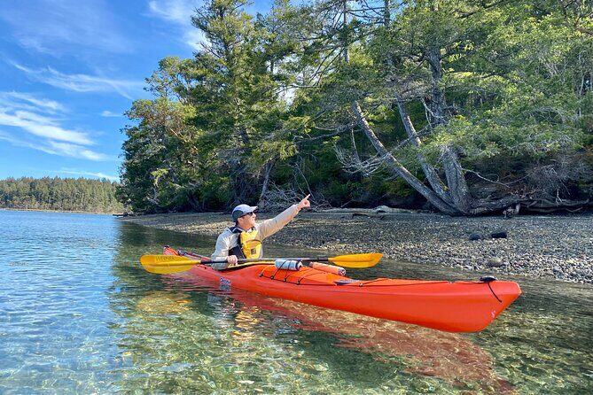 Guided Kayak Tour To Hope Island State Park - An In-Depth Look at the Tour Experience
