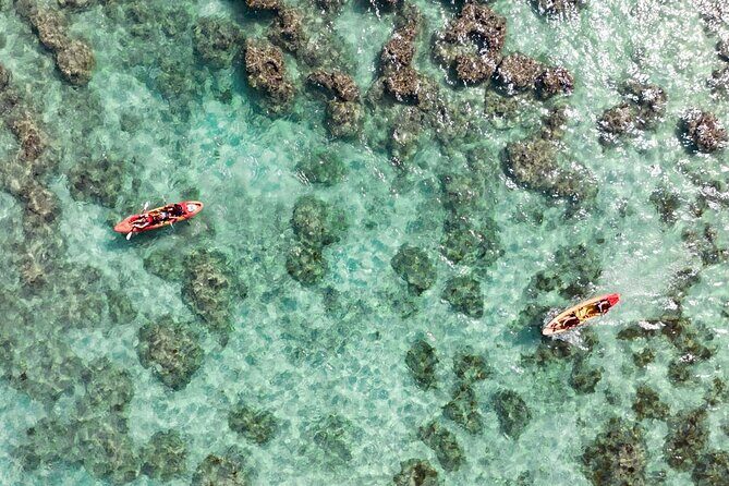 Guided Kayak Tour to Kailuas Twin Islands - Why This Tour Offers Great Value
