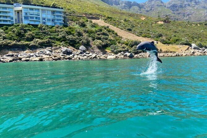 Guided Kayaking in Hout Bay - Practical Details That Make a Difference