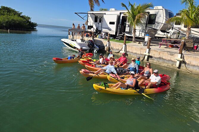 Guided Mangrove Eco Tours Kayak or Paddleboard Adventure - What to Expect on the Water