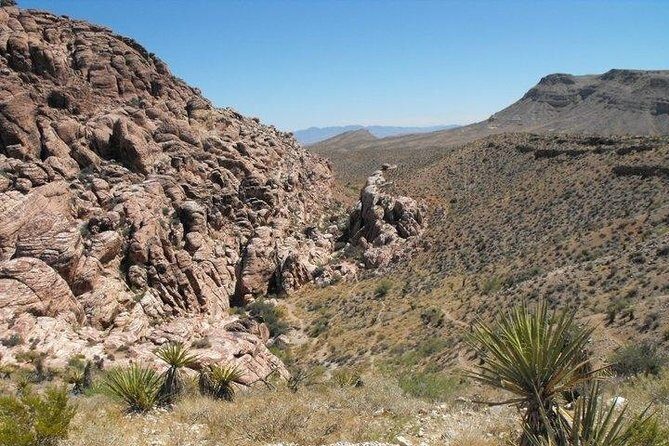 Guided Mountain Bike Tour of Mustang Trail in Red Rock Canyon - The Value and Practical Details