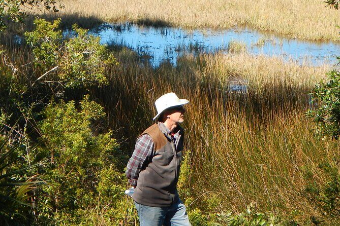 Guided Nature Hikes in NE Florida & SE Georgia - Authentic Insights from Previous Travelers