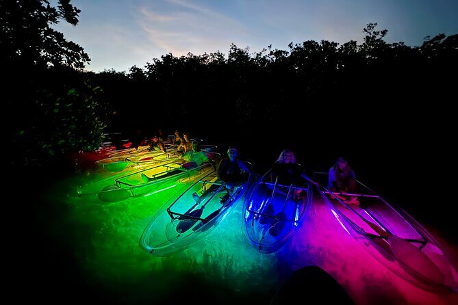 Guided Night Kayak Adventure Tour in Luminous Lagoon - Why This Tour Offers Real Value