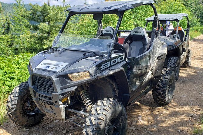 Guided Off-Road Vehicle Tours in North Idaho Forests - Who Should Book This Tour?