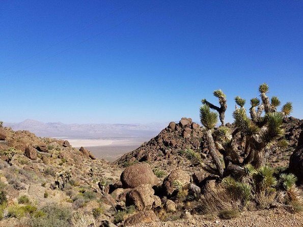 Guided or Self-Guided Road Bike Tour of Red Rock Canyon - Transportation and Duration