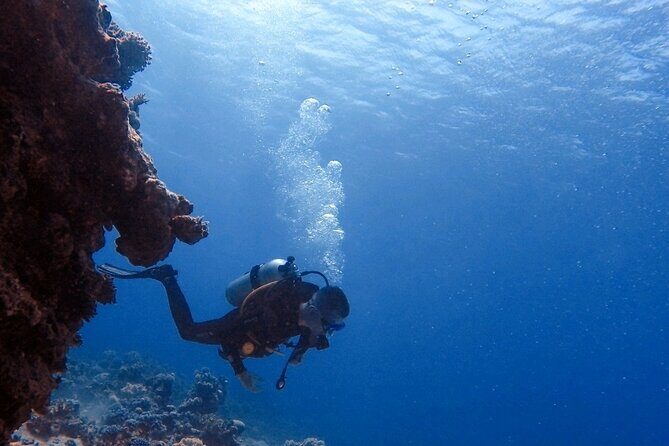 Guided Scuba Diving Adventure in Aqaba - The Location and Its Appeal