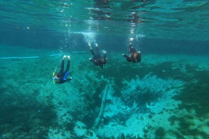 Guided Semi-Private Snorkel Tour (w/ FREE Photos!) - Authentic Encounters Versus Commercialism