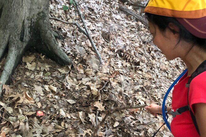 Guided Shared Group Forest Bathing Session in Serene Woodland Park - The Value of the Experience