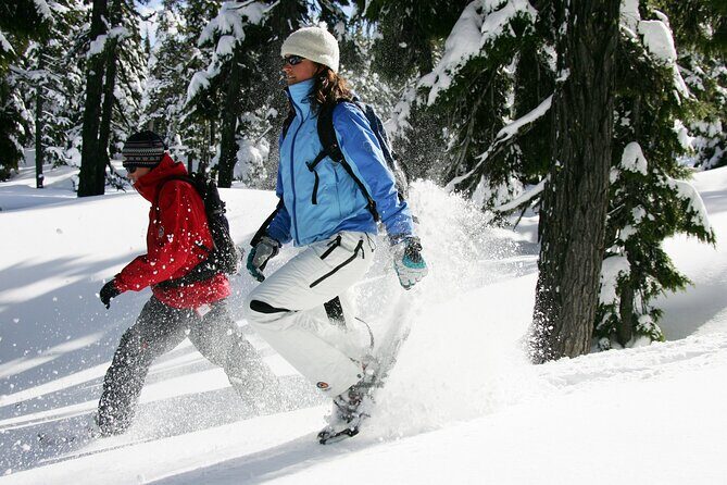 Guided Snowshoe Tour in Bend, Oregon - Price and Value