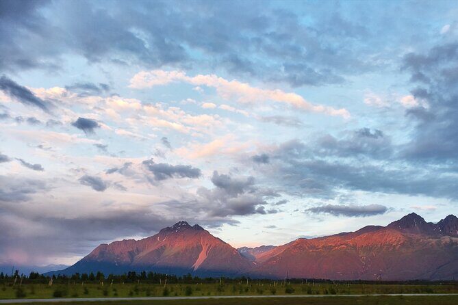 Guided Tour of Musk Ox Farm & Scenic Drive from Anchorage - The Value of the Tour