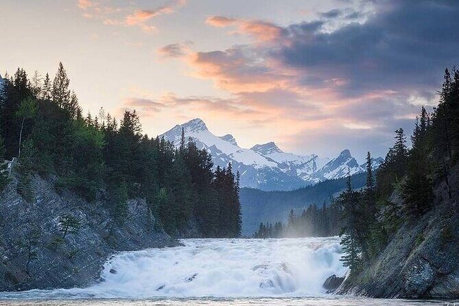 Guided Tour to Banff Highlights & Wildlife With Gondola Admission - Wildlife and Scenery
