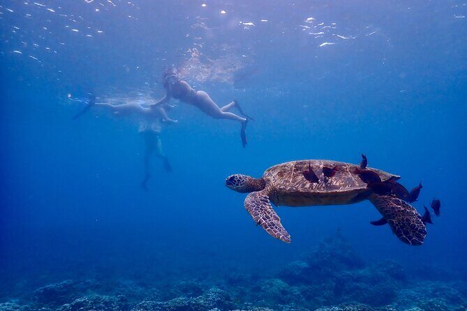 Guided Turtle Town Snorkeling Tour with Underwater Photos - Why This Tour Works Well for Different Travelers