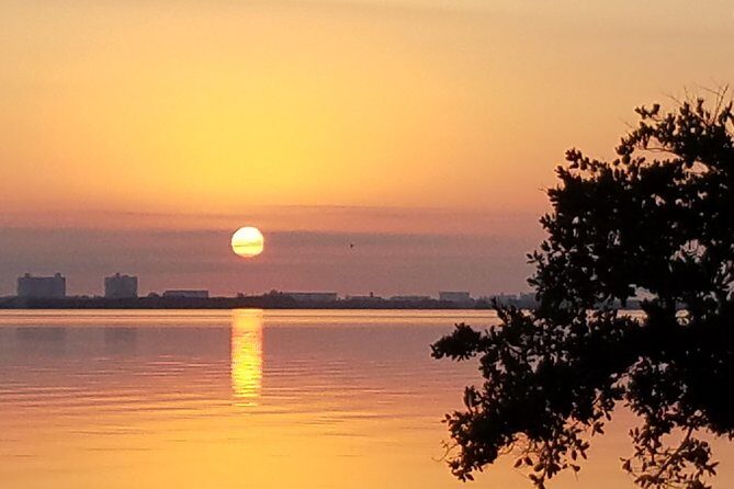 Guided Two Hour Boat Tour of the Indian River Lagoon - Practical Details: What You Need to Know