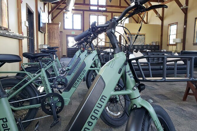 Guided Urban Art and Historical E-Bike Tour in Park City - A Deep Dive into the Urban Art & History E-Bike Experience