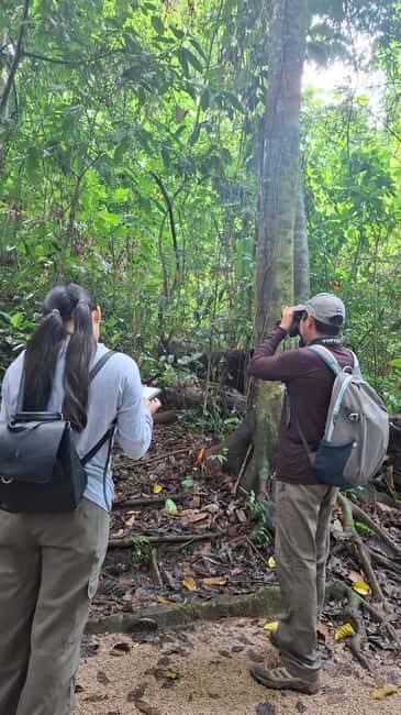 Guided visit in the Palenque jungle (Palenque National Park) - Practical Details and How to Make the Most of It