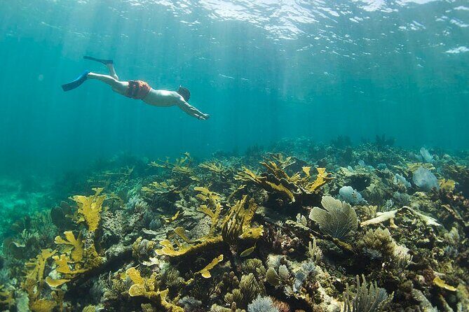 Guided Visit to Puerto Morelos with Snorkeling Included - What’s Included and What’s Not