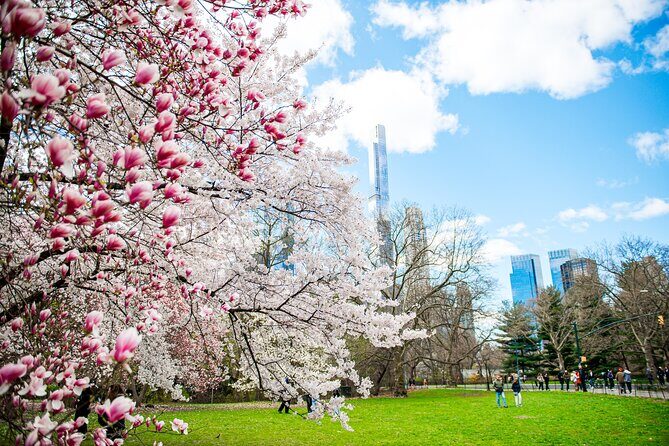 Guided Walking Tour Of Central Park - What to Expect from the Central Park Guided Tour