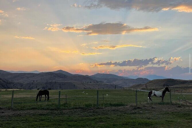 Guided Walking Tour of Methow Meadows and Meet the Animals - Why This Tour Is Worth Your Time