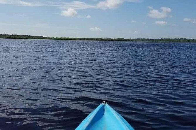 Guided Wildlife Eco Kayak Tour in New Smyrna Beach