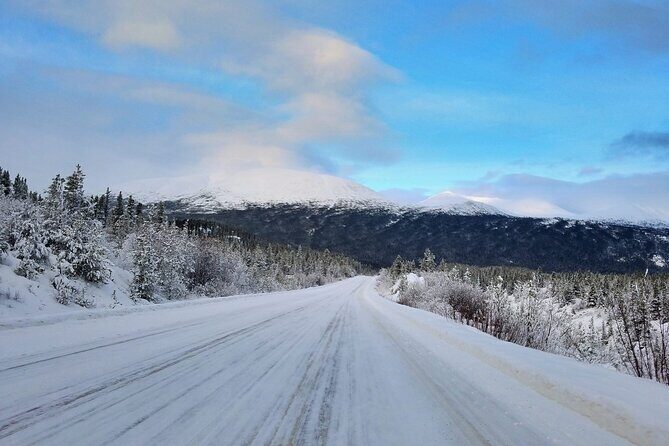 Guided Winter Wonderland Tour to Canada - Scenic Stops and Highlights