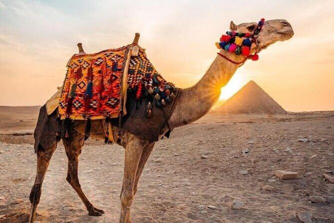 Guiding Half Day To Giza Pyramids with Hotel pickup - Who Is This Tour Best Suited For?