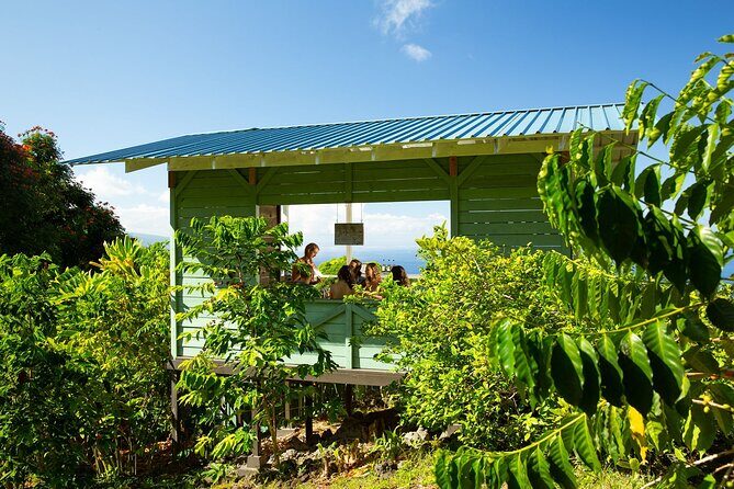 Hala Tree Coffee Farm Tour - Final Thoughts: Is It Worth It?