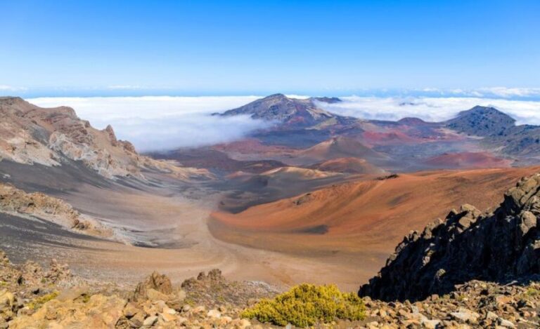 Haleakal Sunset Private Tour: Mauis Heavenly Evening - Exploring Haleakalā National Park’s Flora and Fauna