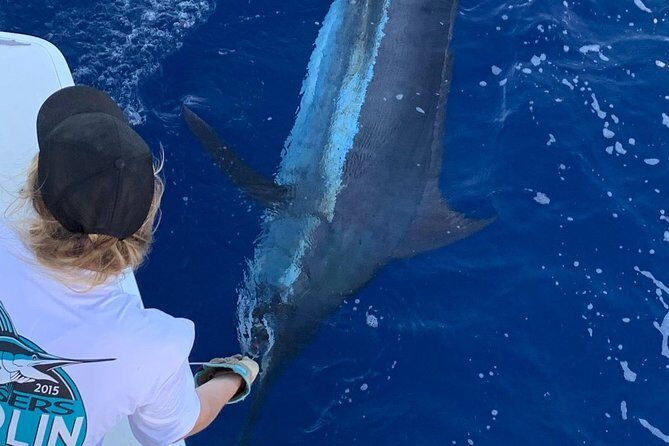 Half Day Afternoon Angler Charter - The Review Highlights