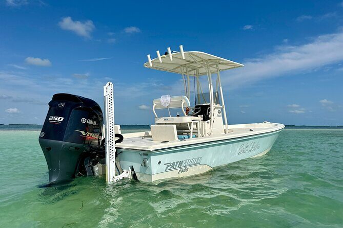 Half-Day Backcountry Fishing Charter from Key West - The Small-Group Advantage