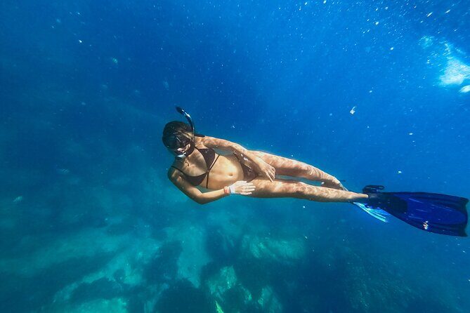 Half Day Cabo Snorkel Adventure with Lunch and Open Bar - Diving Into the Details: What Makes This Tour Stand Out