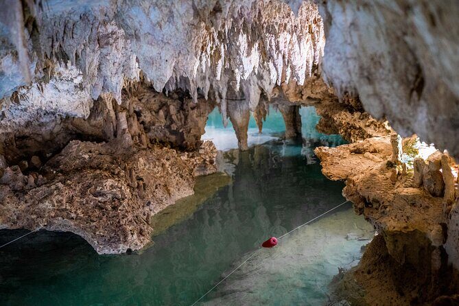 Half Day Cenotes Experience - What Real Travelers Say